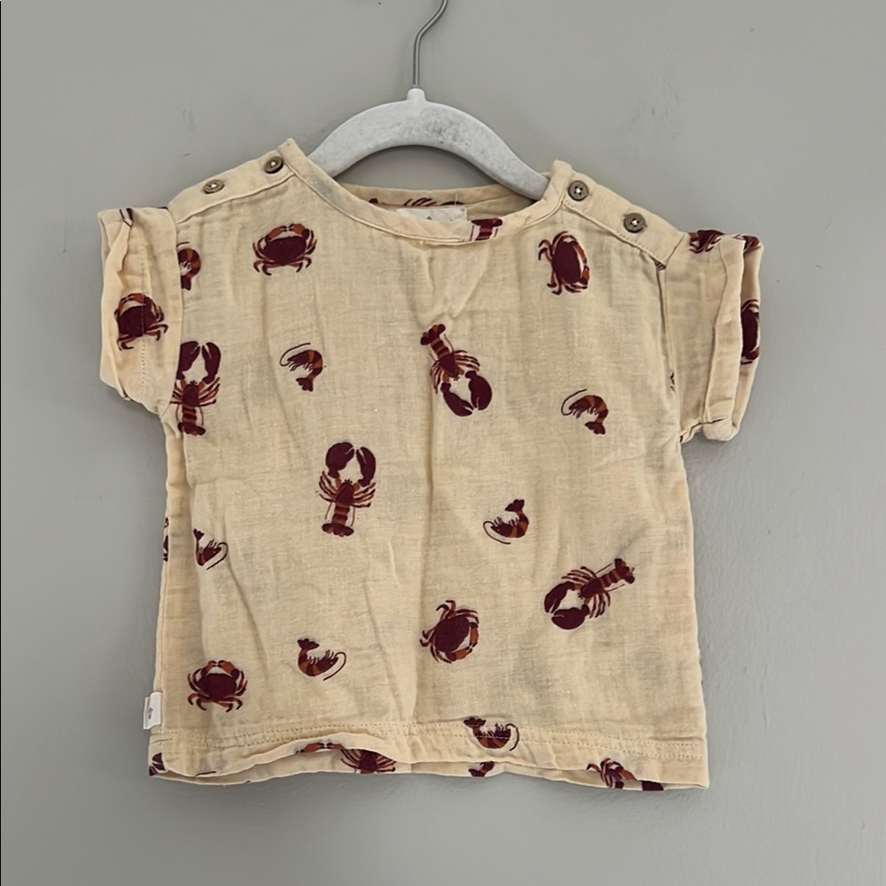Coco Village Organic Cotton Muslin T-shirt 18M